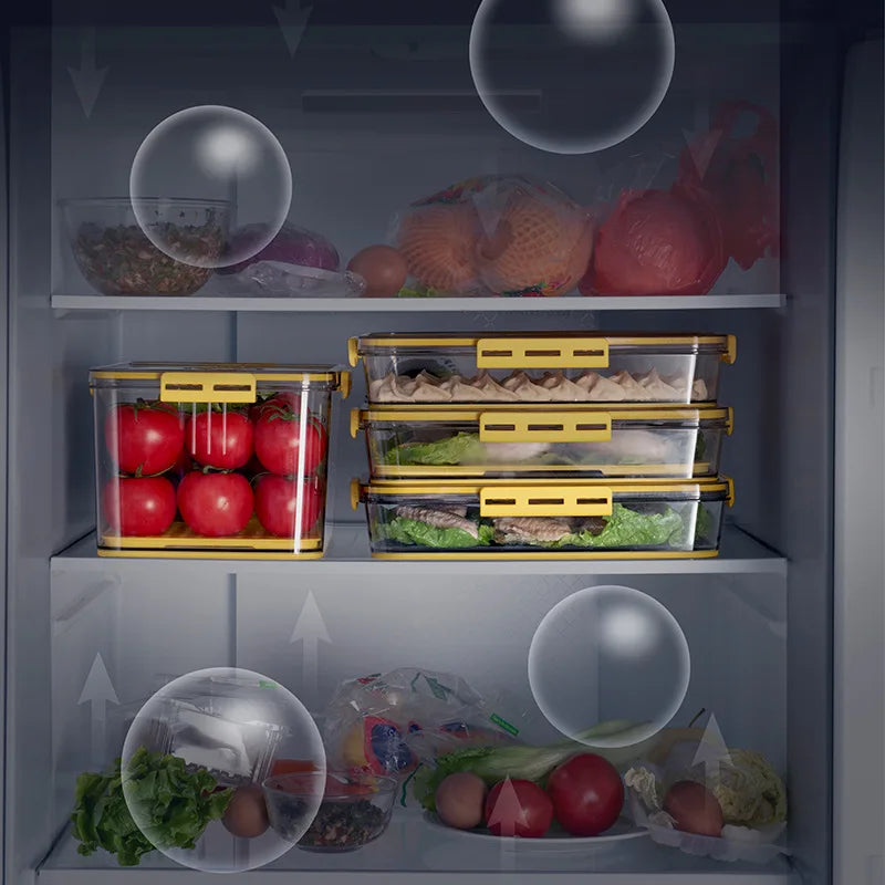 Food Organizer Kitchen Storage Container Seal Stable Cans for Fridge High-capacity Fresh Eggs Vegetable Fruit Storage Boxes