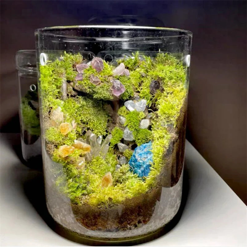 Micro Landscape Glass Bottles Creativity Dew Collection Glass Vase Succulent Moss Bansai Landscape Glass Terrarium Home Decor