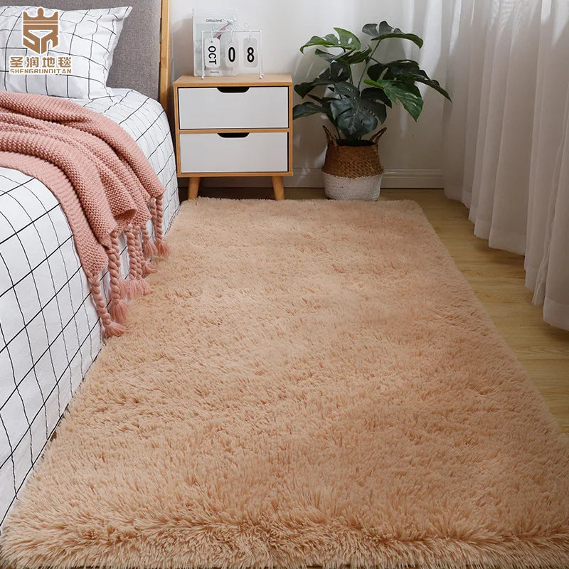Silk Wool Bedside Blanket for Girls, Ins Bedroom Plush Carpet, Silicone Non Slip Bottom, Living Room Carpet, Cute Rug