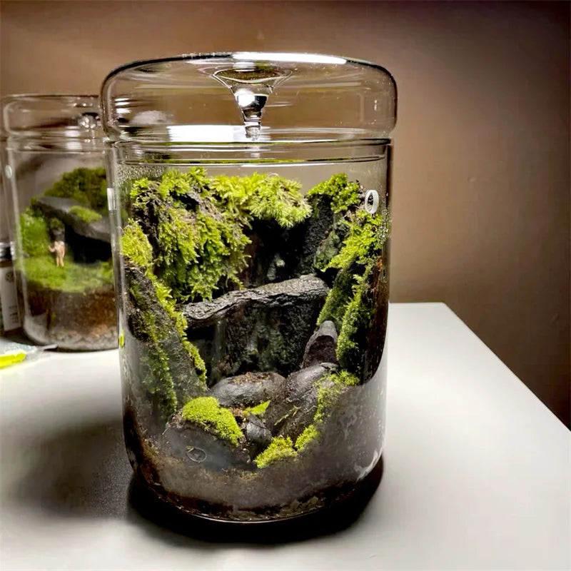 Micro Landscape Glass Bottles Creativity Dew Collection Glass Vase Succulent Moss Bansai Landscape Glass Terrarium Home Decor